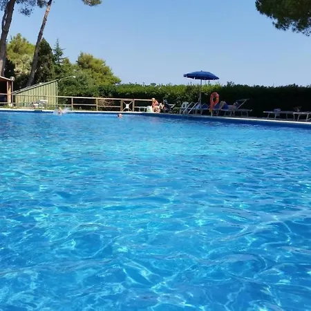 Napoleon Procchio (Isola d'Elba)